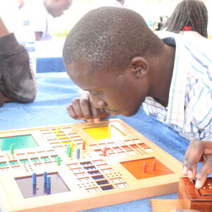 The Ludo Game