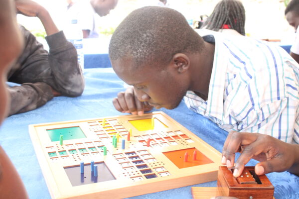 The Ludo Game