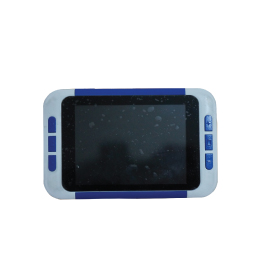 Handheld video magnifier