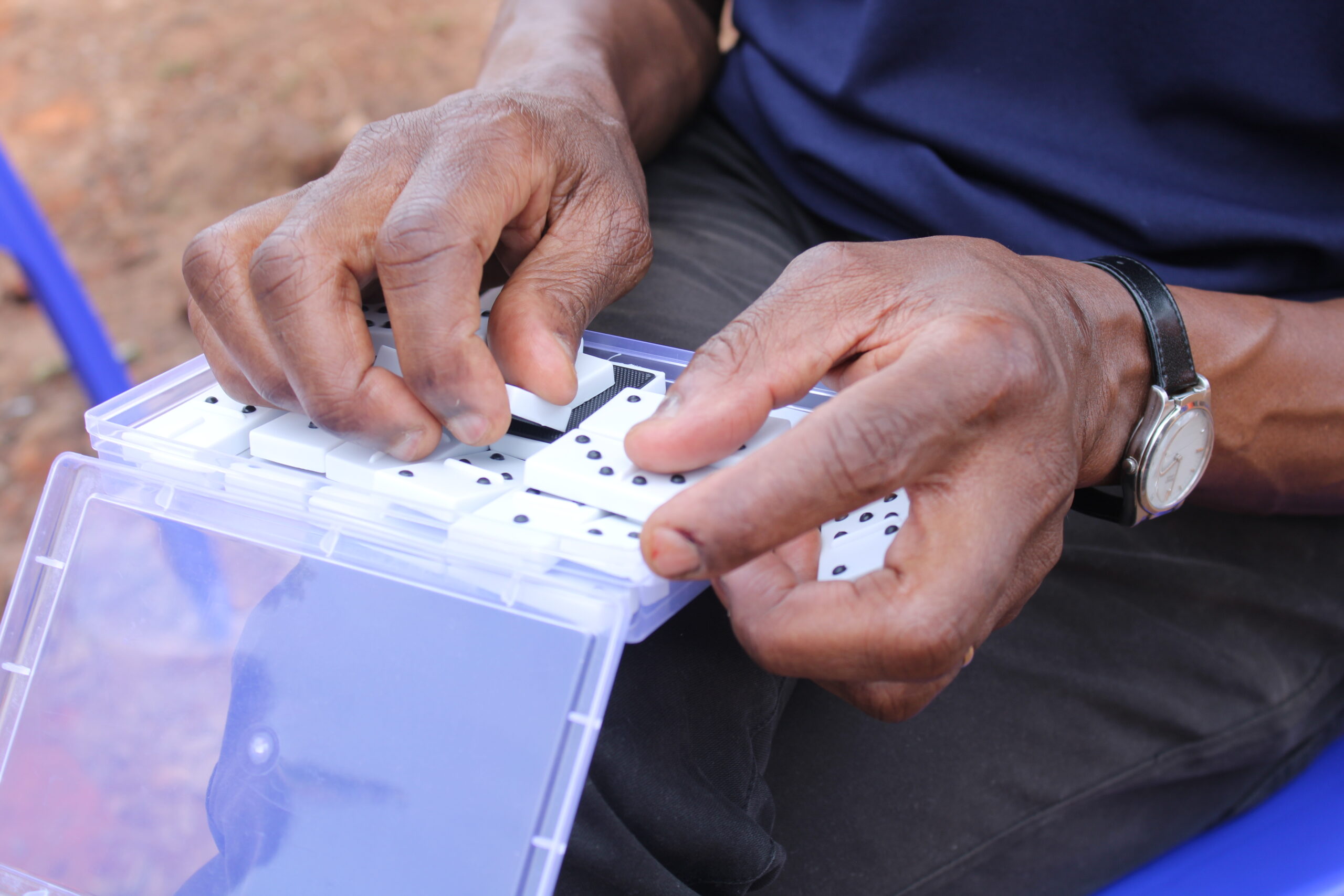 Read more about the article A New Era of Play: Dominos for Everyone, Regardless of Sight